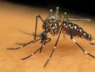 Valença confirma segunda morte por dengue em 2024