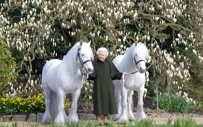 Rainha Elizabeth completa 96 anos à espera das celebrações de seu jubileu de platina